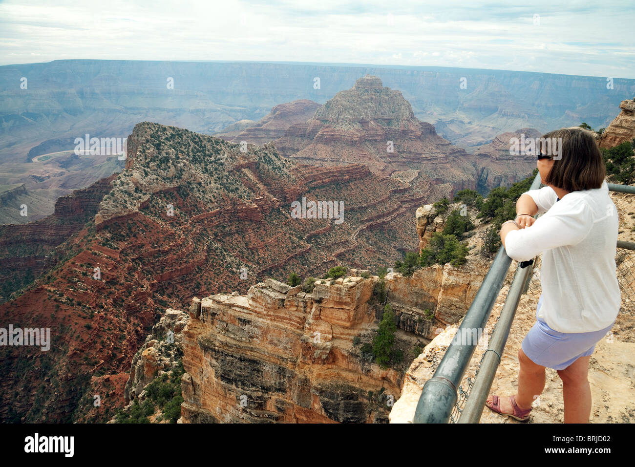 Una donna che guarda al Grand Canyon al Cape Royal, North Rim, Arizona, Stati Uniti d'America Foto Stock