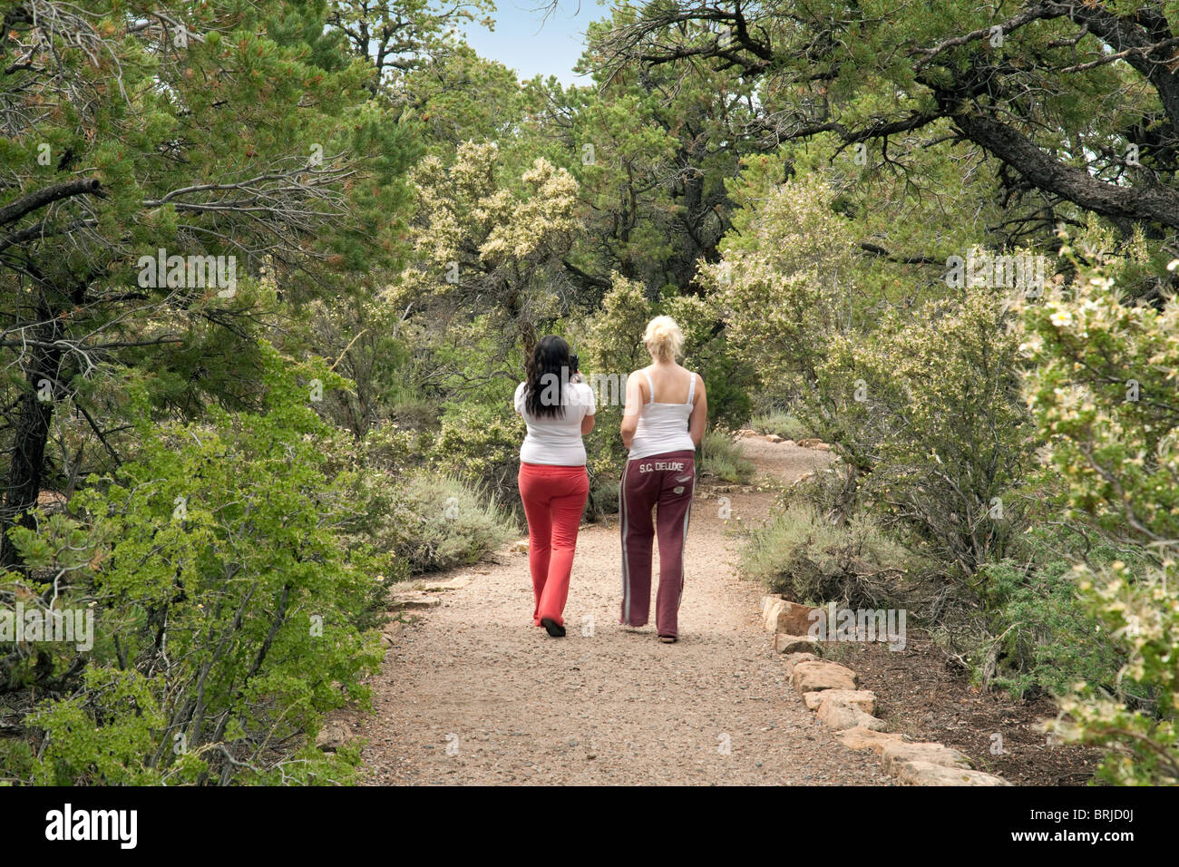 Le ragazze adolescenti presso il Grand Canyon a Cape Royal, North Rim, Arizona, Stati Uniti d'America Foto Stock