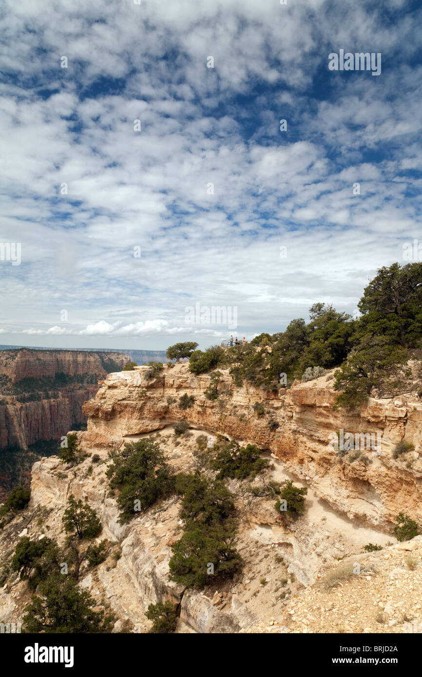 Il Grand Canyon a Cape Royal, North Rim, Arizona, Stati Uniti d'America Foto Stock