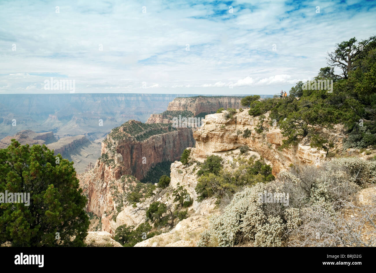 Il Grand Canyon a Cape Royal, North Rim, Arizona, Stati Uniti d'America Foto Stock