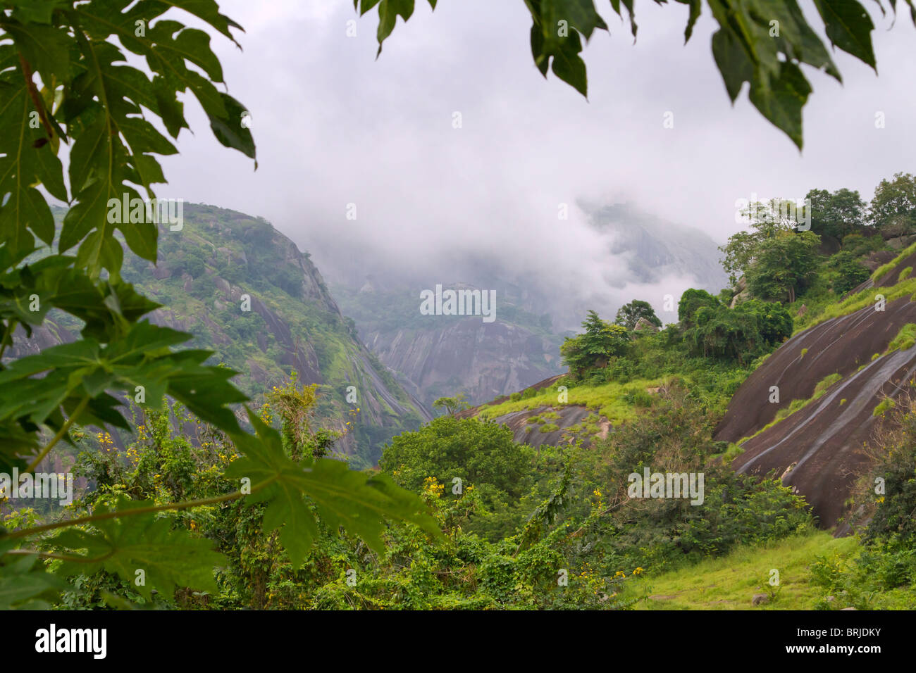Una montagna foresta pluviale, Idanre, Ondo stato, Nigeria. Foto Stock