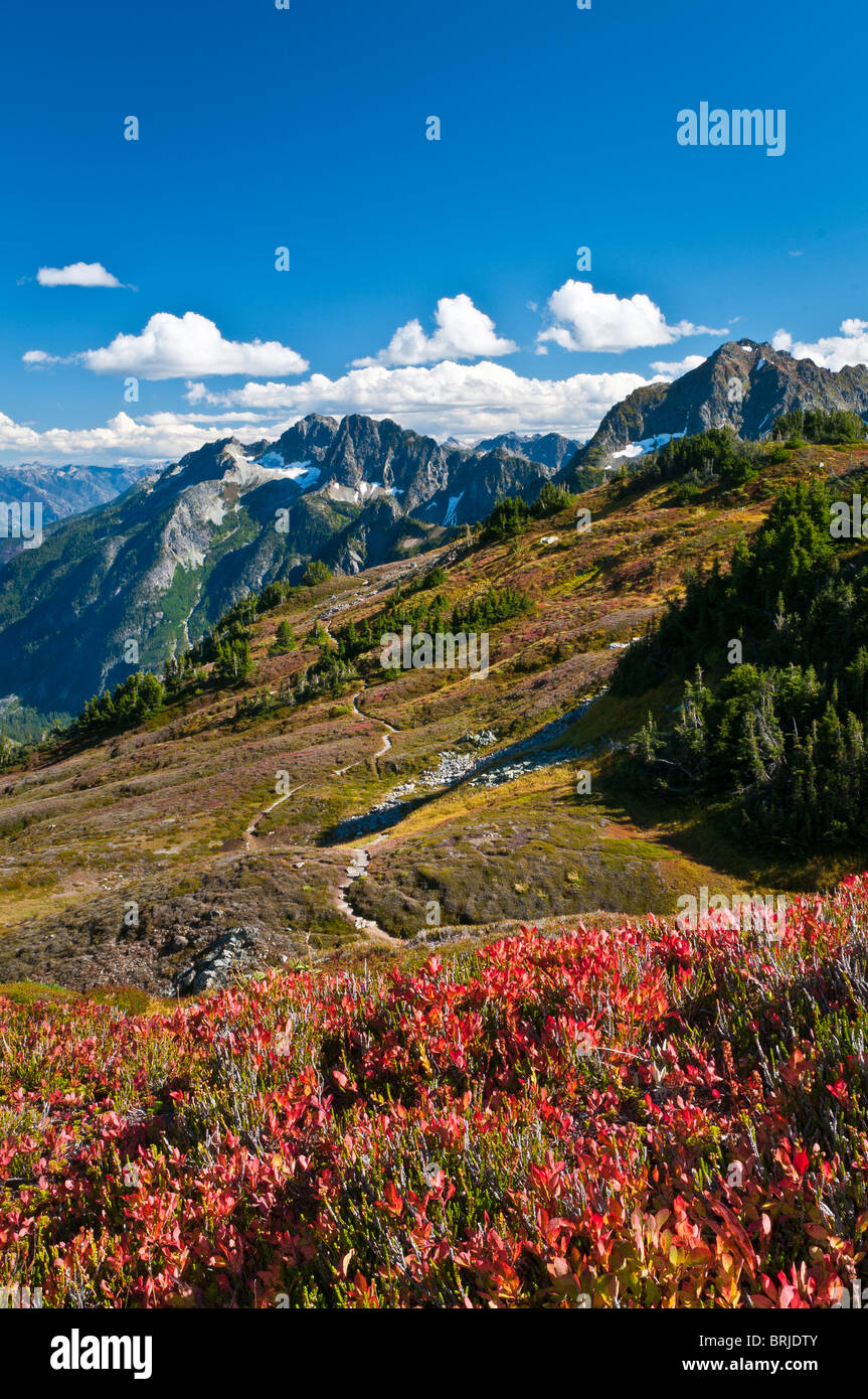 Sahale Arm Trail, Cascade Pass, Parco Nazionale delle Cascate del Nord, Washington. Foto Stock