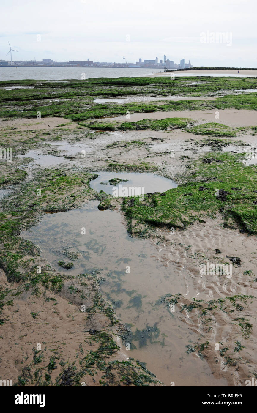 La spiaggia e il lungomare di New Brighton sul fiume Mersey cercando in tutta la città di Liverpool Regno Unito Foto Stock