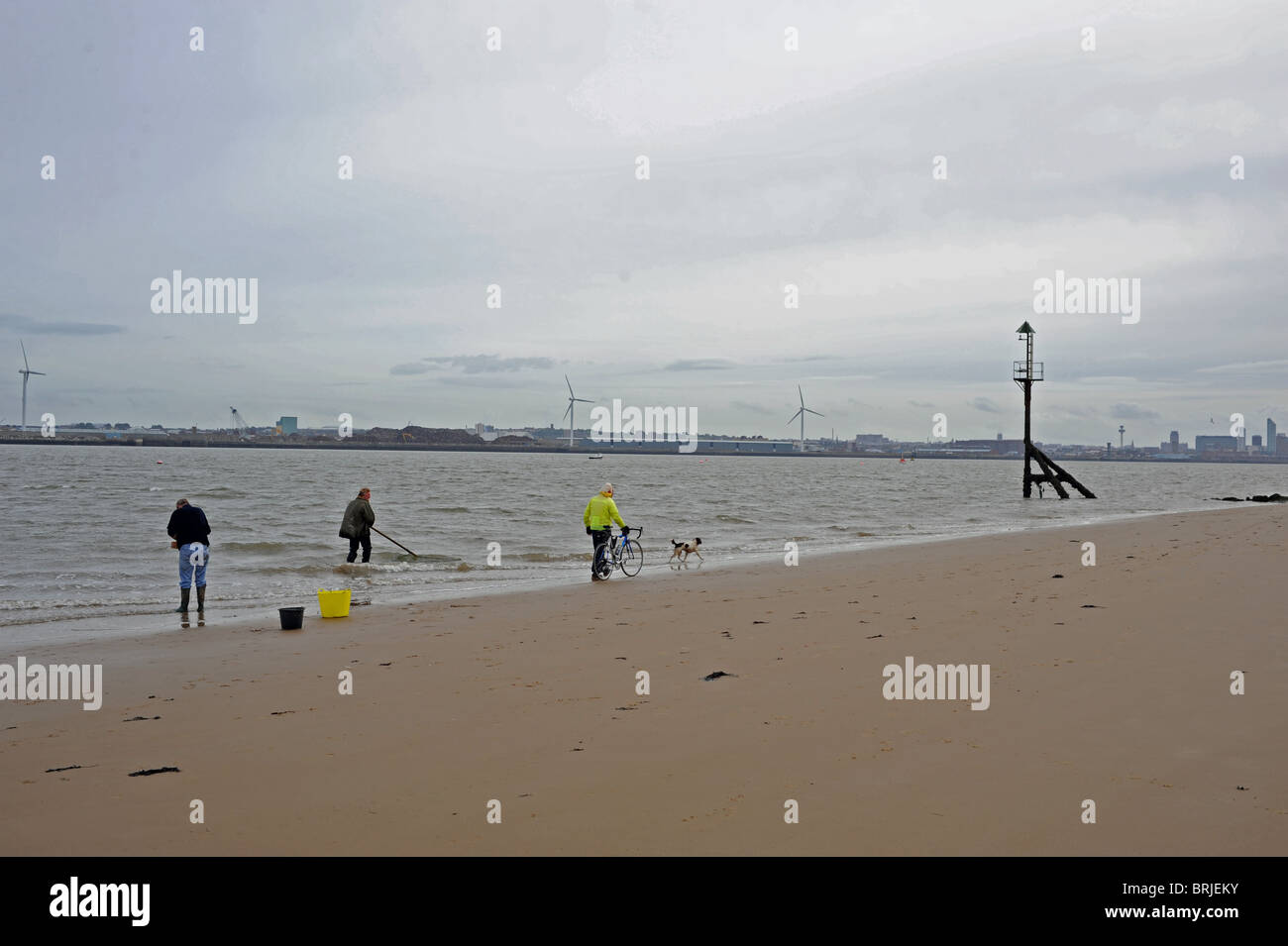 Gli uomini trascinando le reti per le vongole o lupini New Brighton Beach sul fiume Mersey Wirral REGNO UNITO Foto Stock