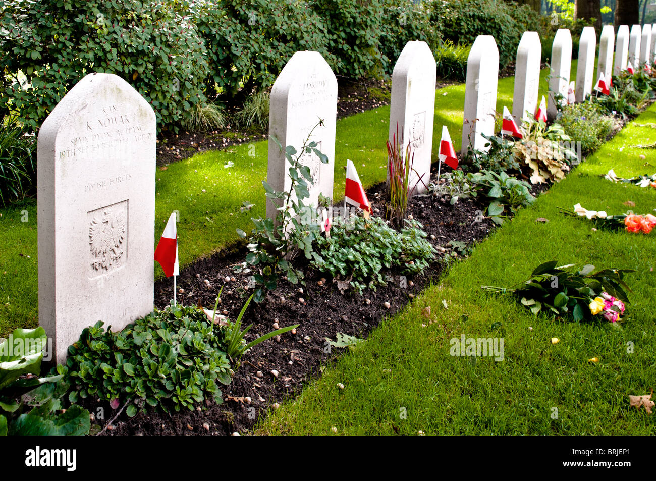 Cimitero di guerra in Oosterbeek, Paesi Bassi. Tombe di soldati polacchi Foto Stock