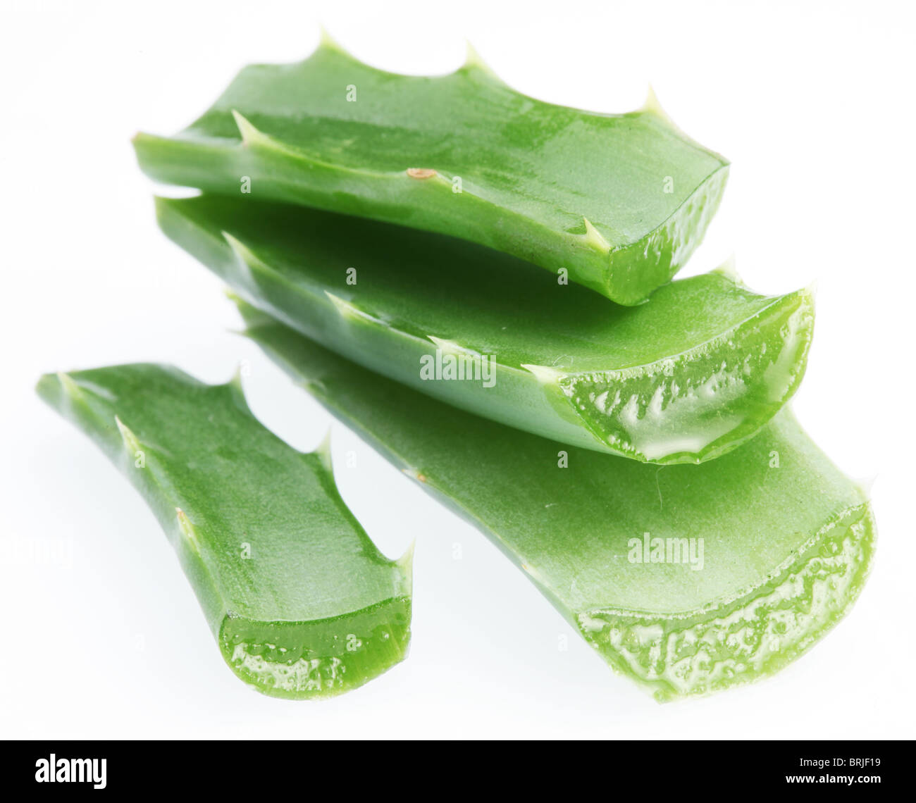 Pezzi di aloe vera. Isolato su uno sfondo bianco. Foto Stock