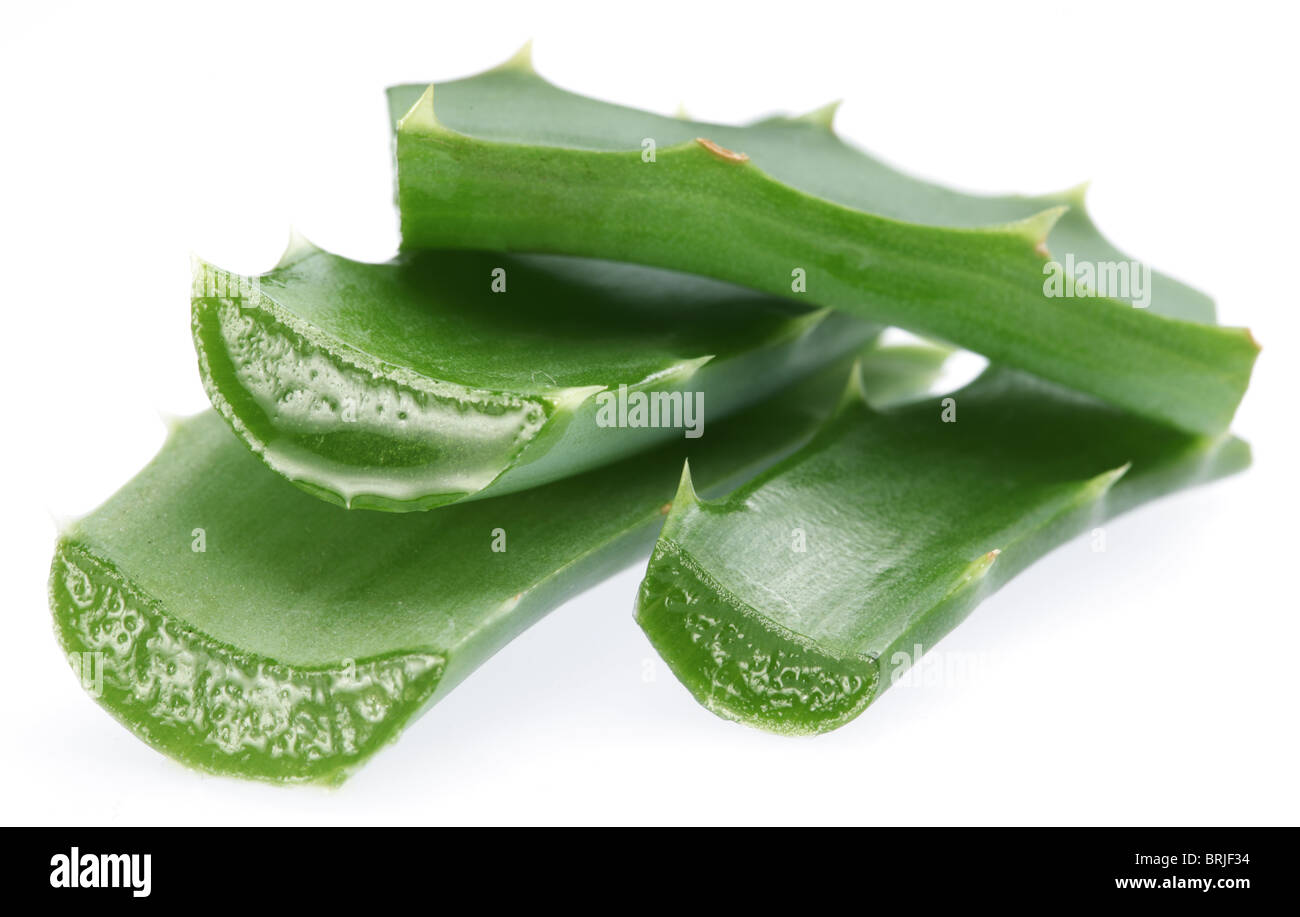 Pezzi di aloe vera. Isolato su uno sfondo bianco. Foto Stock