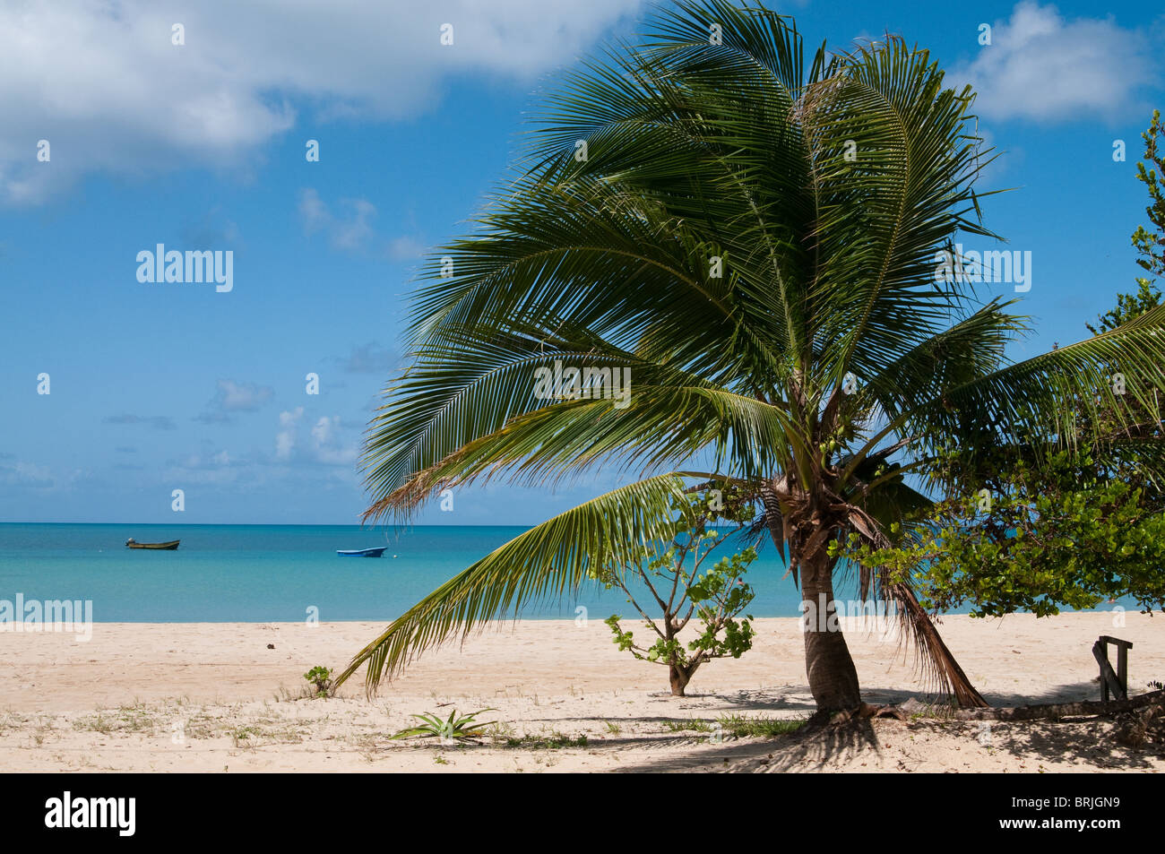 L'immagine di corn island view Foto Stock