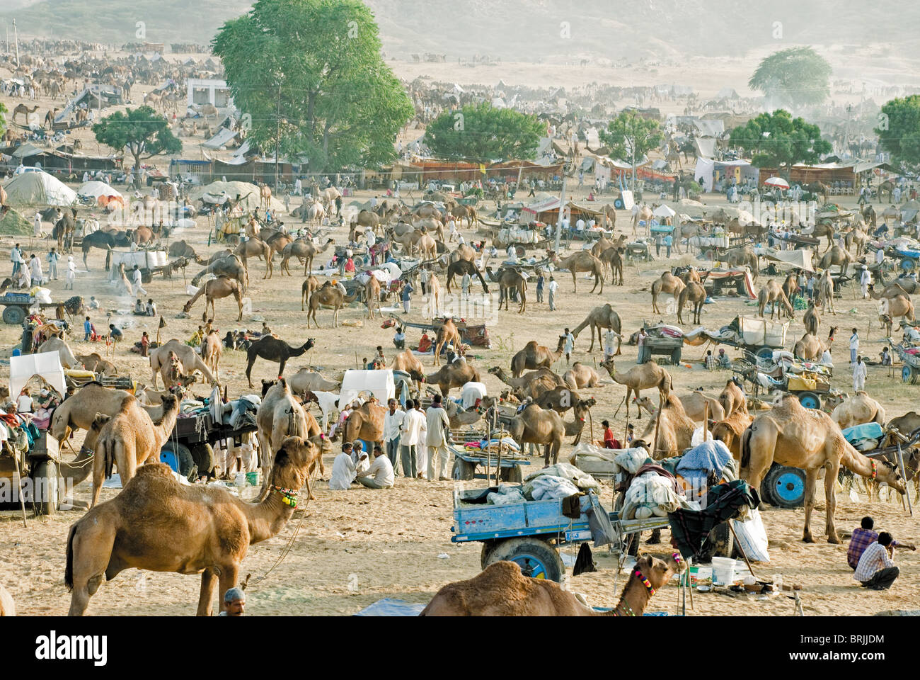 Pushkar Mela Foto Stock