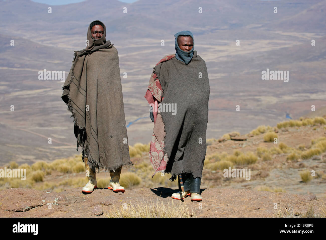Basotho mandriani che vive con il suo bestiame in alta montagna Maluti del Regno di Lesotho, Sud Africa Foto Stock