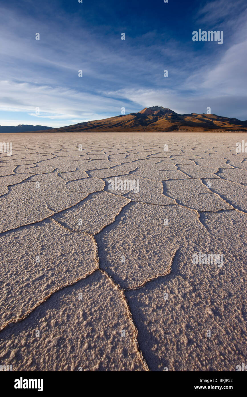 Il Salar de Uyuni, Bolivia Foto Stock