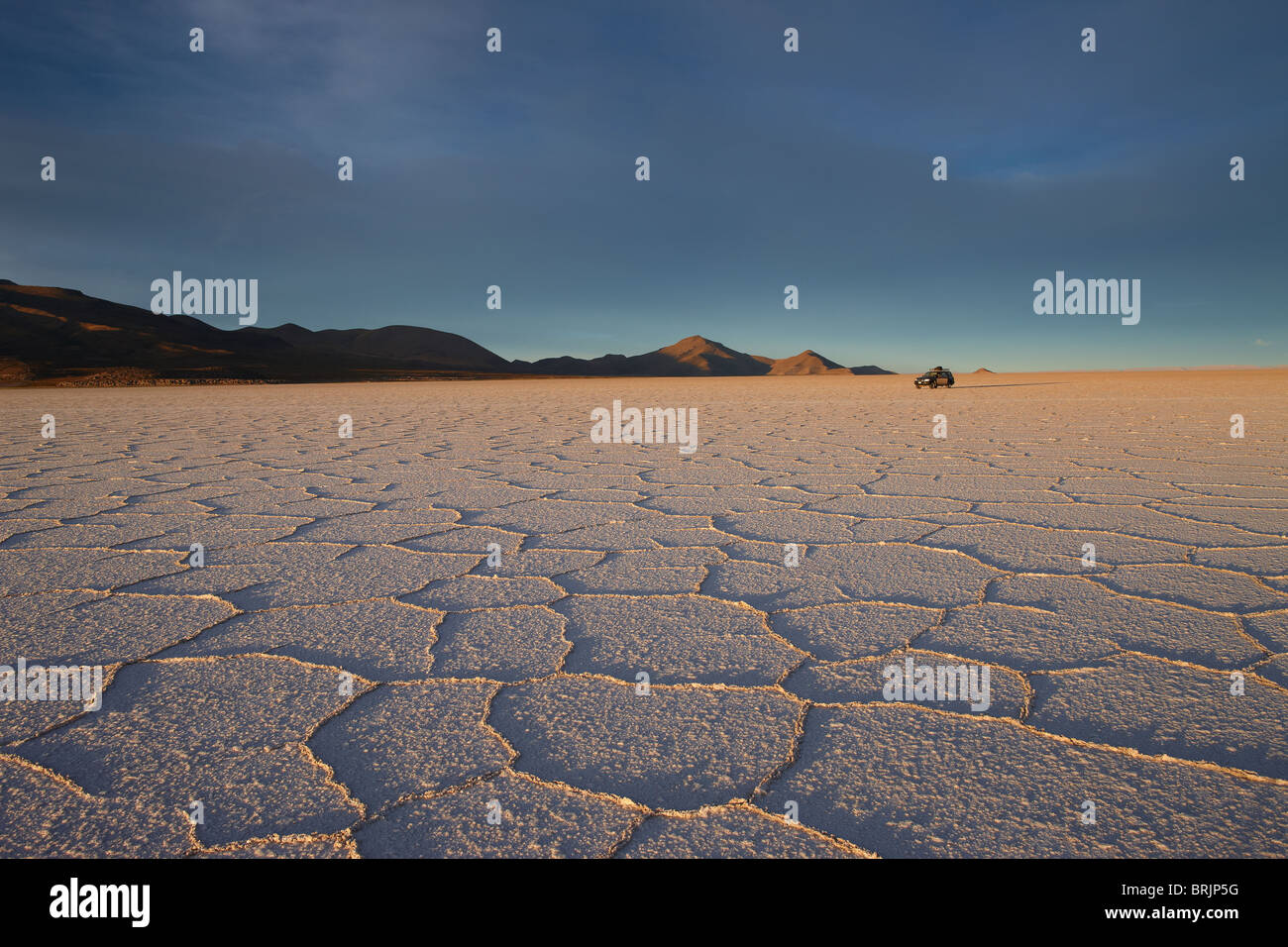 Il Salar de Uyuni, Bolivia Foto Stock