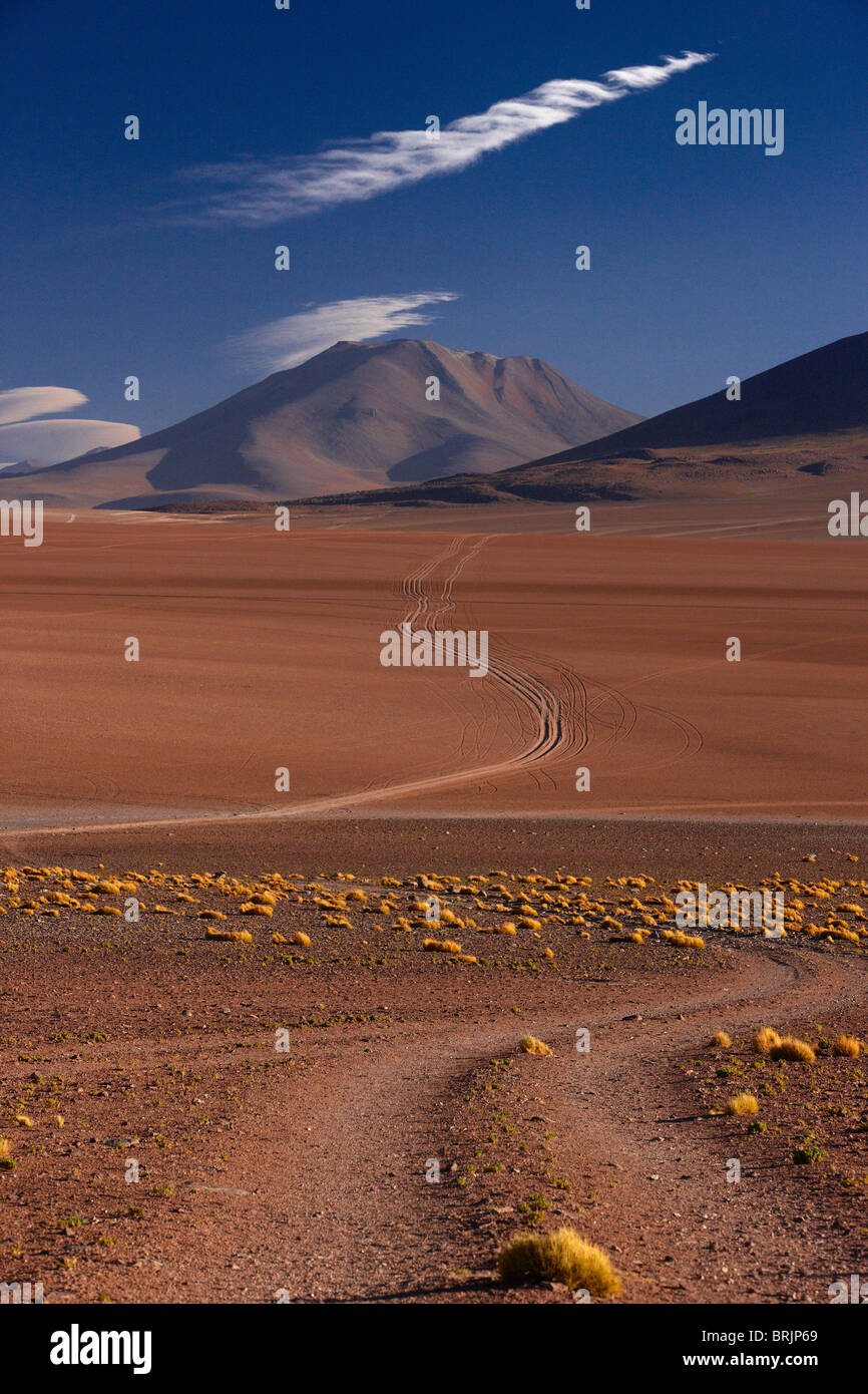 La strada di Ojo de Perdiz, alta sul altiplano, Bolivia Foto Stock