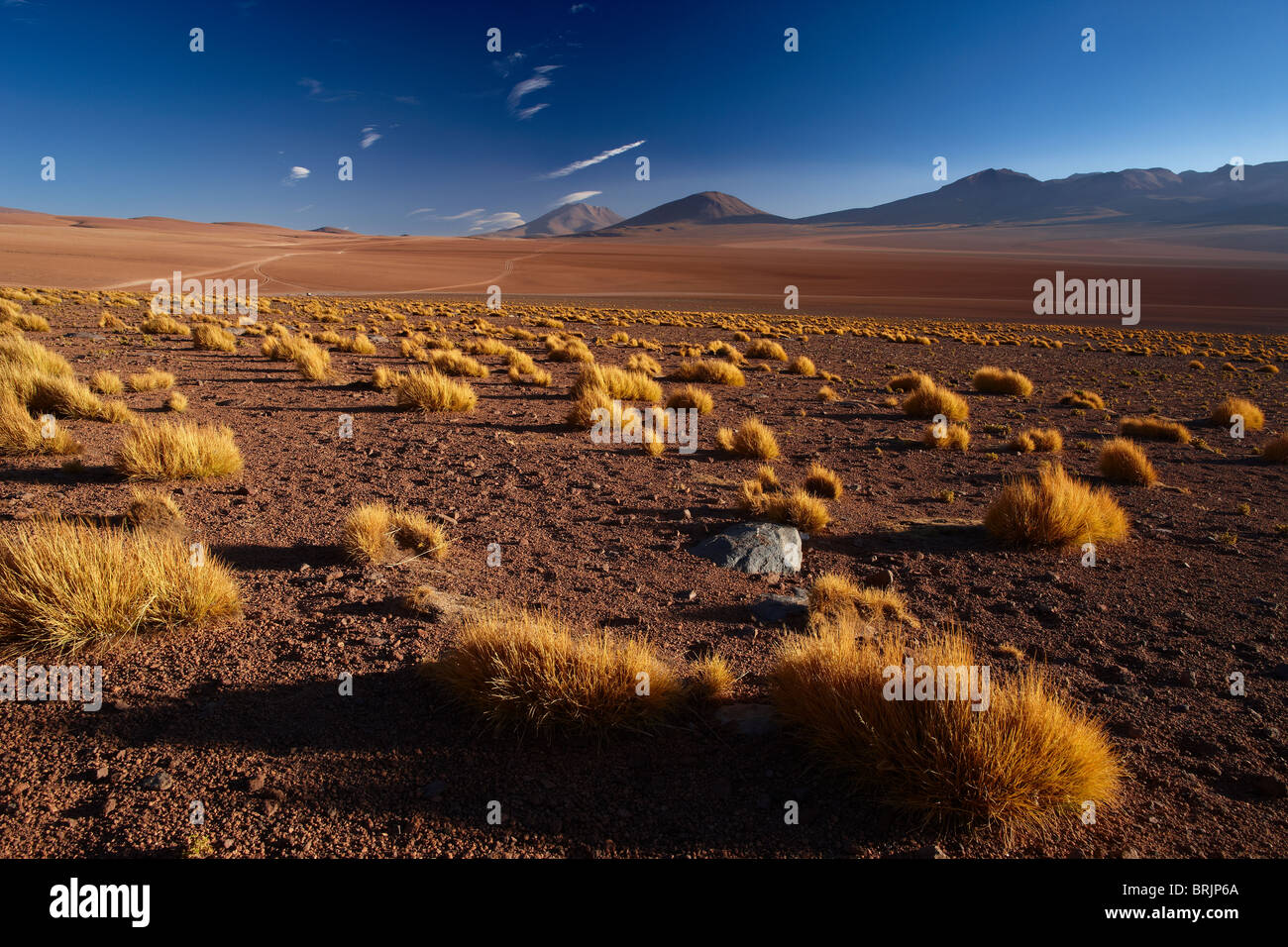 La strada di Ojo de Perdiz, alta sul altiplano, Bolivia Foto Stock