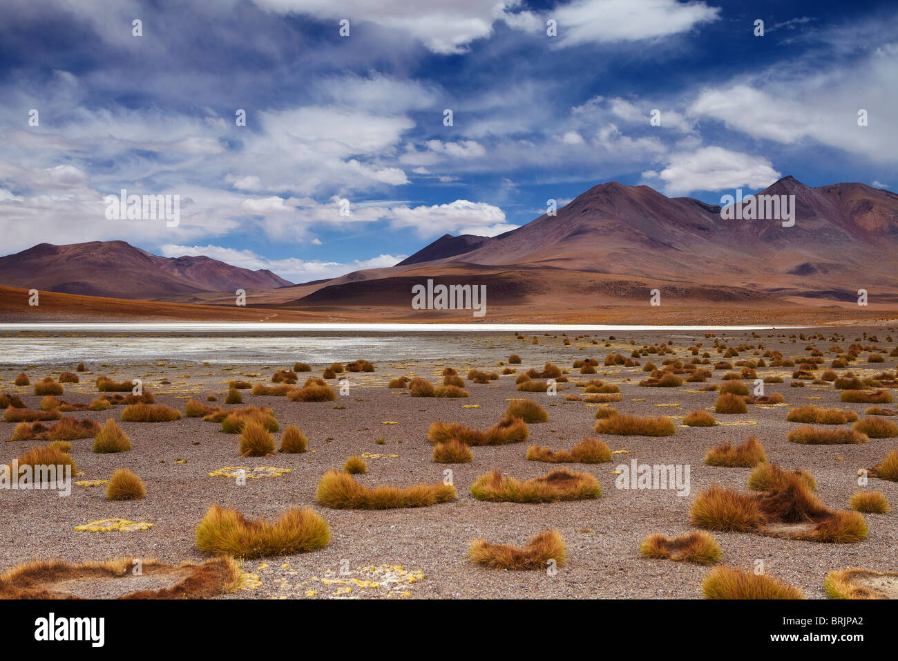 La remota regione del high desert, altiplano e vulcani vicino Tapaquilcha, Bolivia Foto Stock