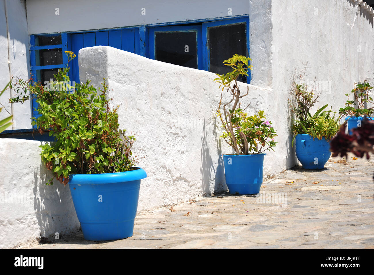 Tipico greco scena del dipinto di bianco di edifici con porte e finestre blu. Foto Stock