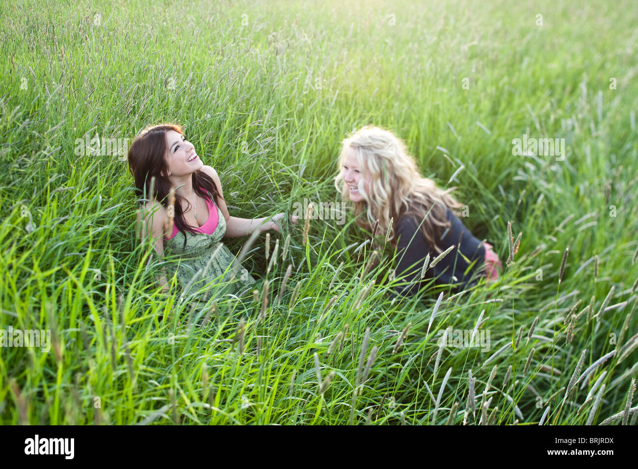 Le ragazze a sedersi in un campo erboso in Sandpoint, Idaho. Foto Stock