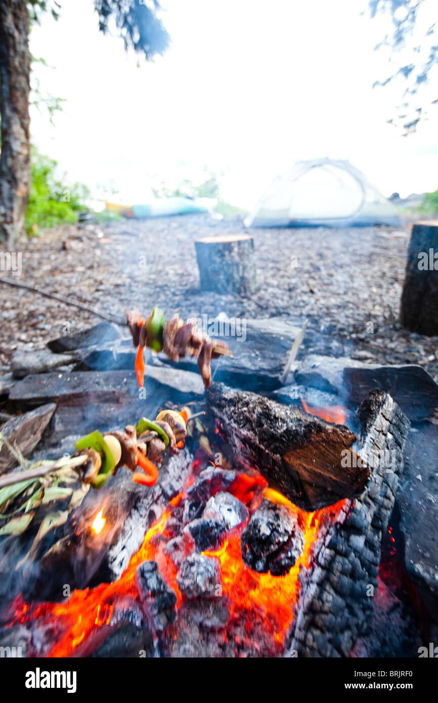I giovani adulti cook shish spiedini sul fuoco su un viaggio di campeggio in Idaho. Foto Stock