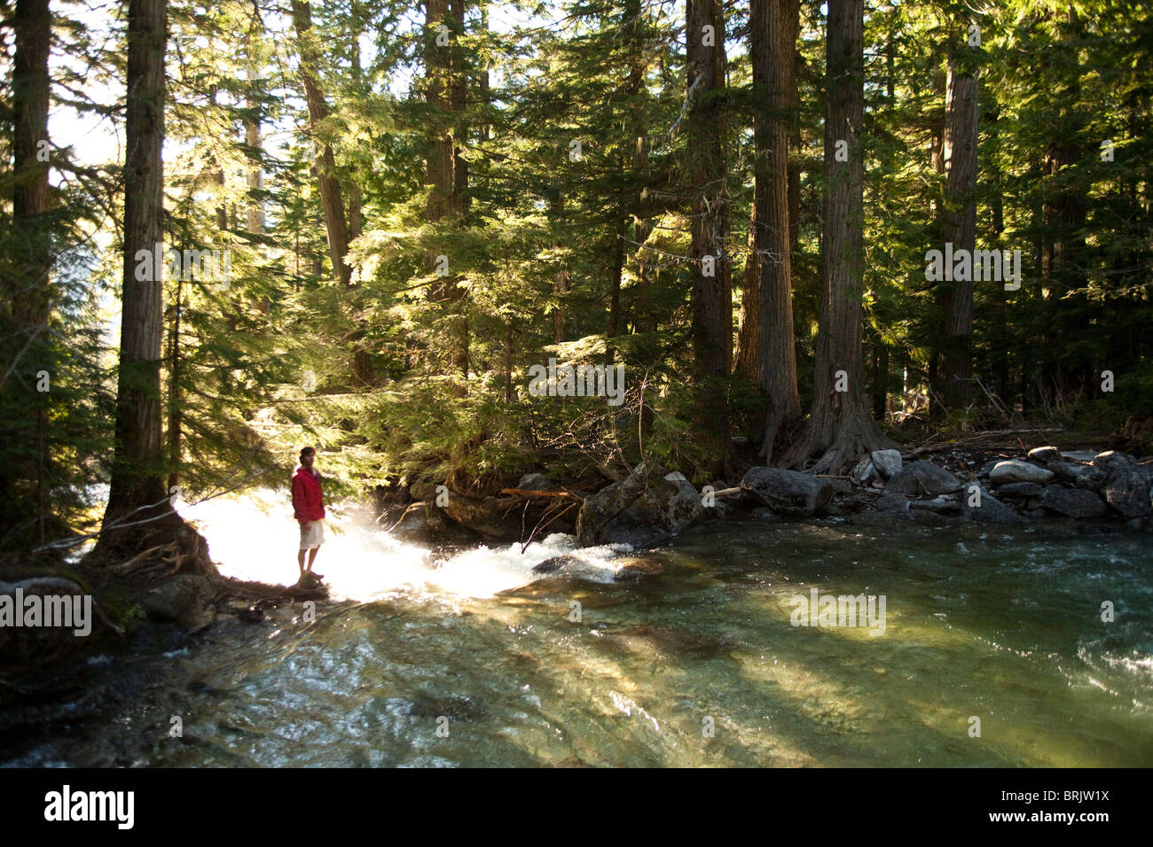 Un giovane uomo di escursionismo sorge su una roccia e orologi il flusso di fiume della foresta. Foto Stock