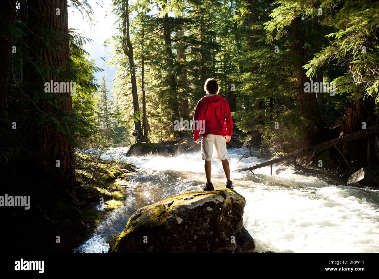 Un giovane uomo di escursionismo sorge su una roccia e orologi il flusso di fiume della foresta. Foto Stock