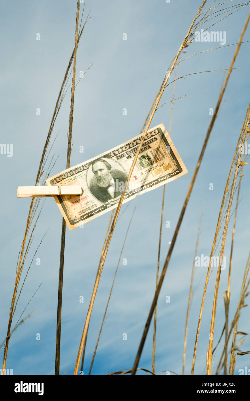 Un milione di dollaro appeso su erba alta con vestiti pin Foto Stock