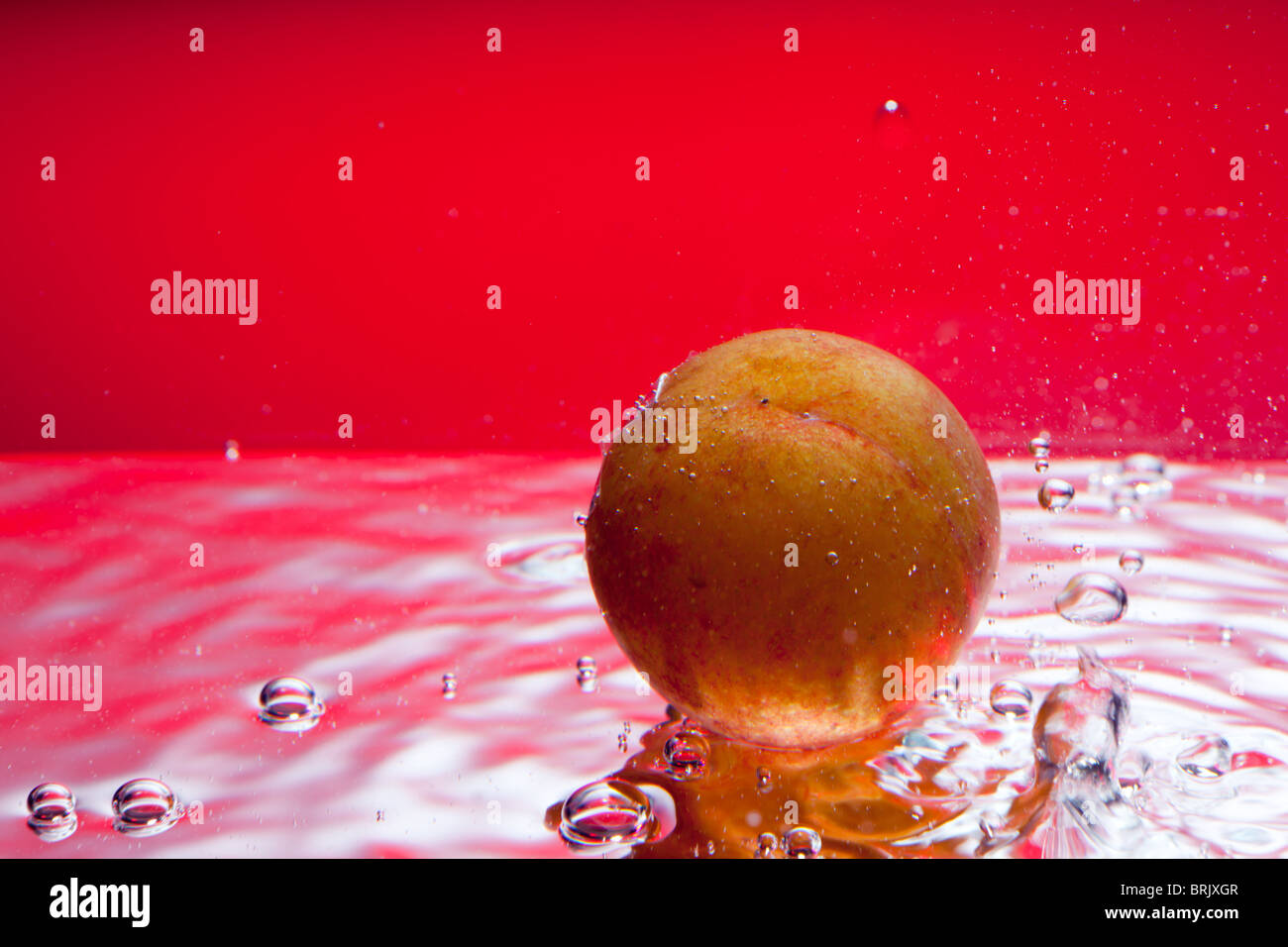 Una prugna gialla cercando come anche se il galleggiante sull'acqua Foto Stock