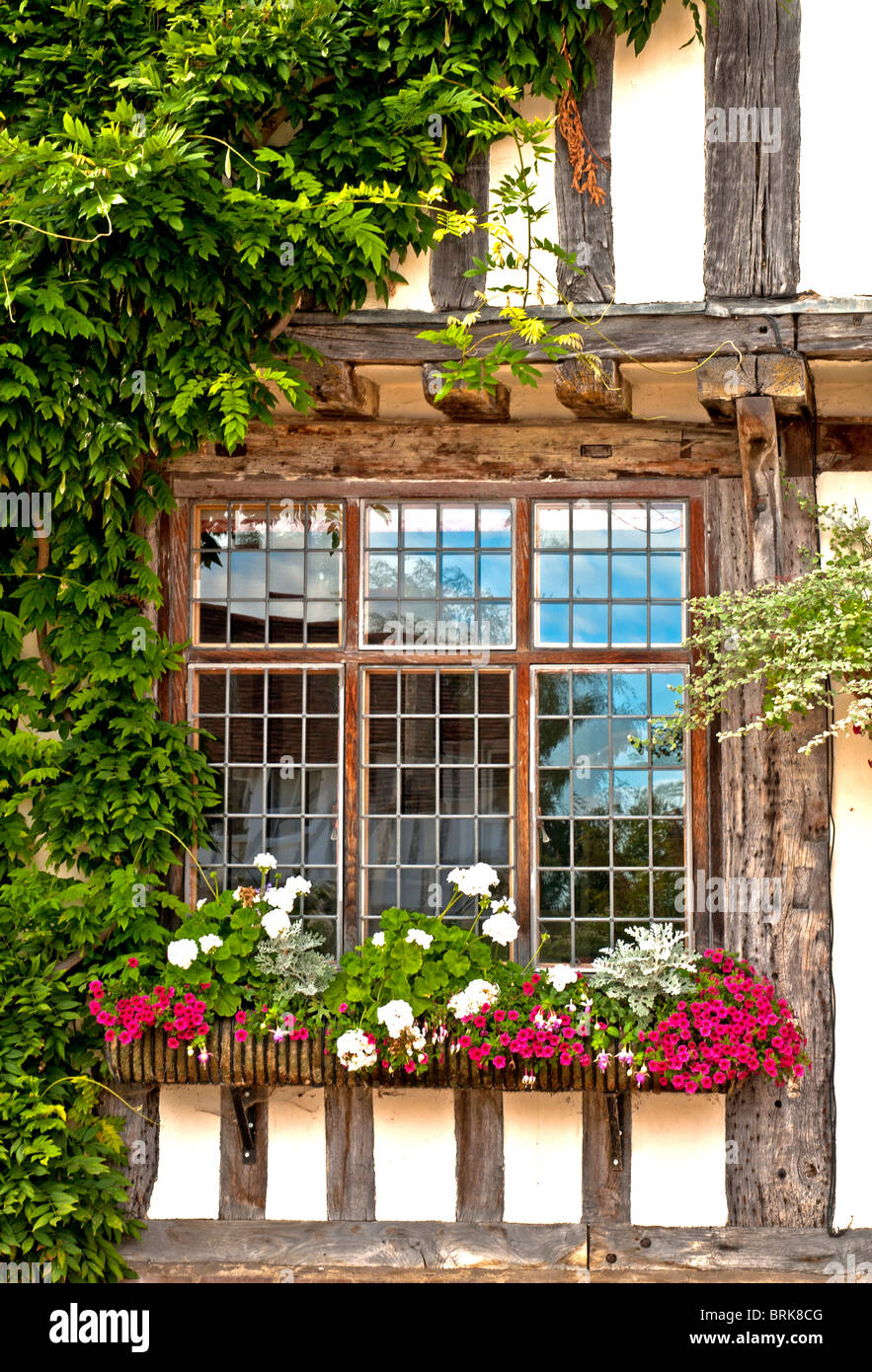 Le case e le loro finestre a Lavenham, Suffolk, Regno Unito Foto Stock