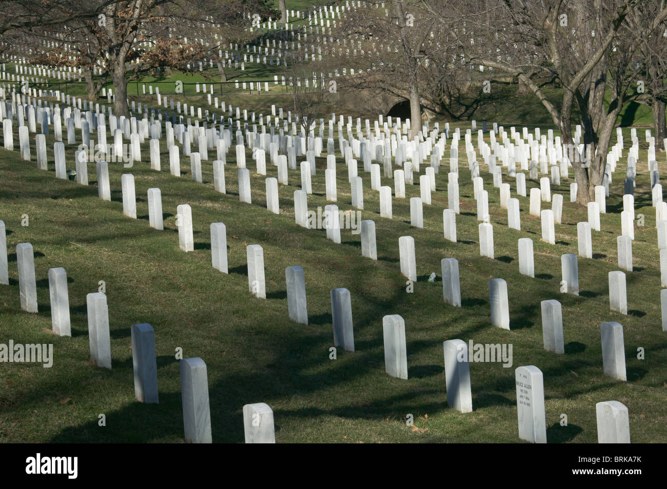 Righe di bianco pietre grave fade in distanza in Al Cimitero Nazionale di Arlington, Arlington VA Foto Stock