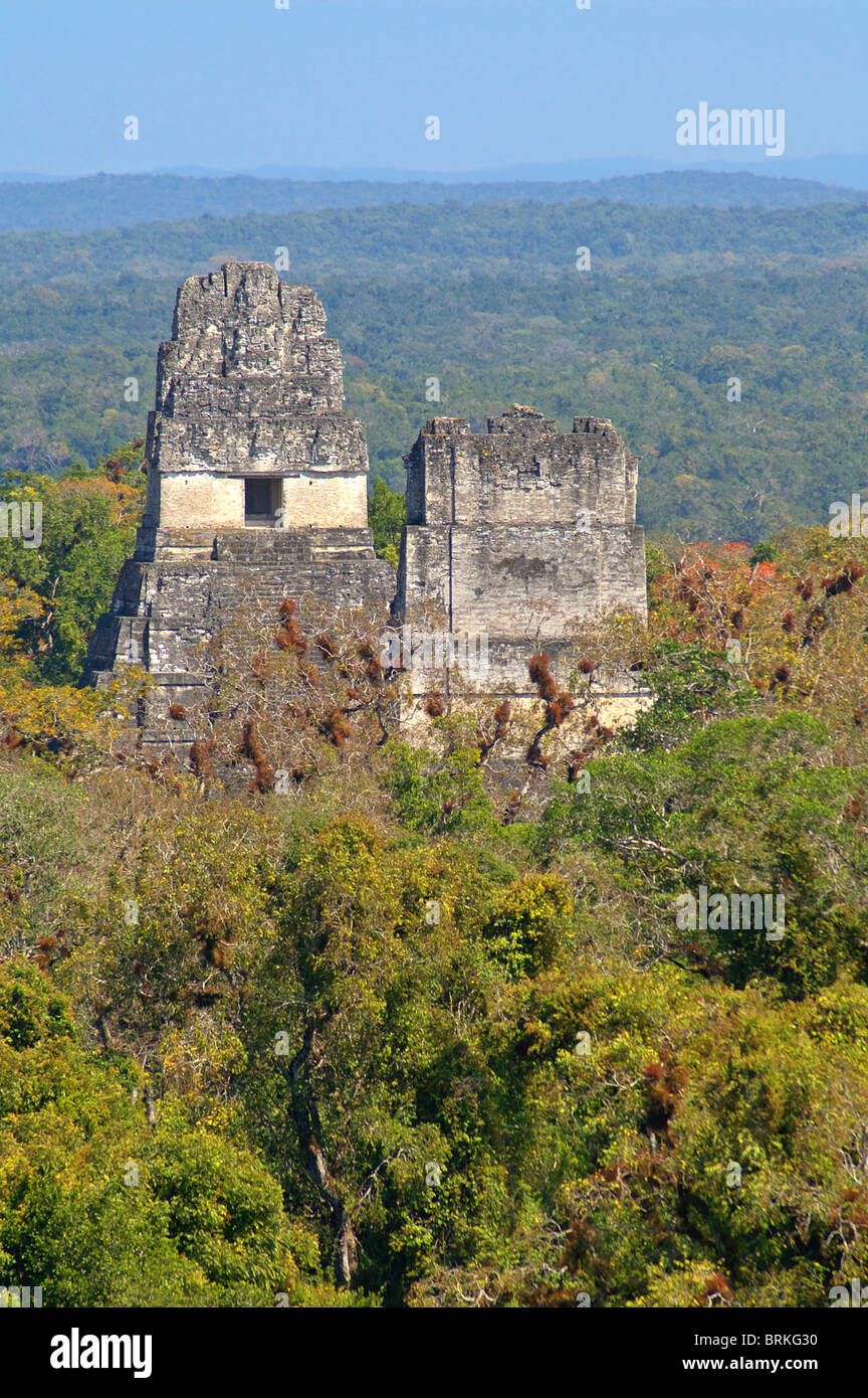 Tempio che io (tempio della grande Jaguar) e il Tempio II (il Tempio delle Maschere) in Tikal, El Petén, Guatemala Foto Stock