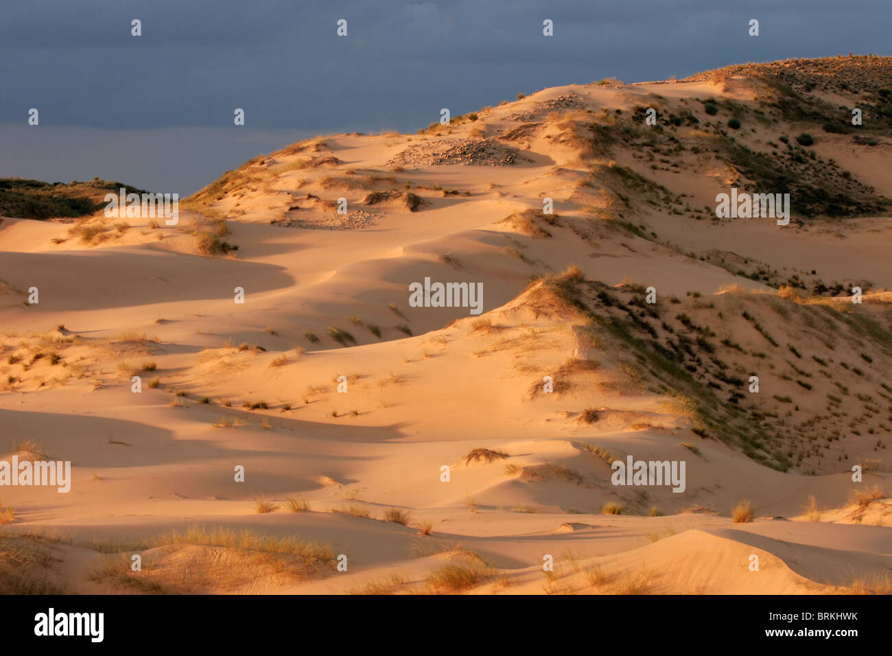 Le dune di sabbia nel tardo pomeriggio di luce, il Kalahari, Sud Africa Foto Stock