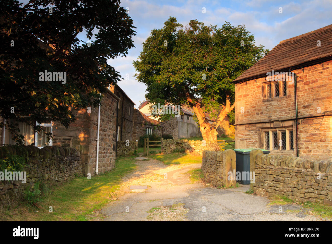 Un paese in corsia Edale Derbyshire con la luce del sole radente sul muro di casa e l'albero. Foto Stock