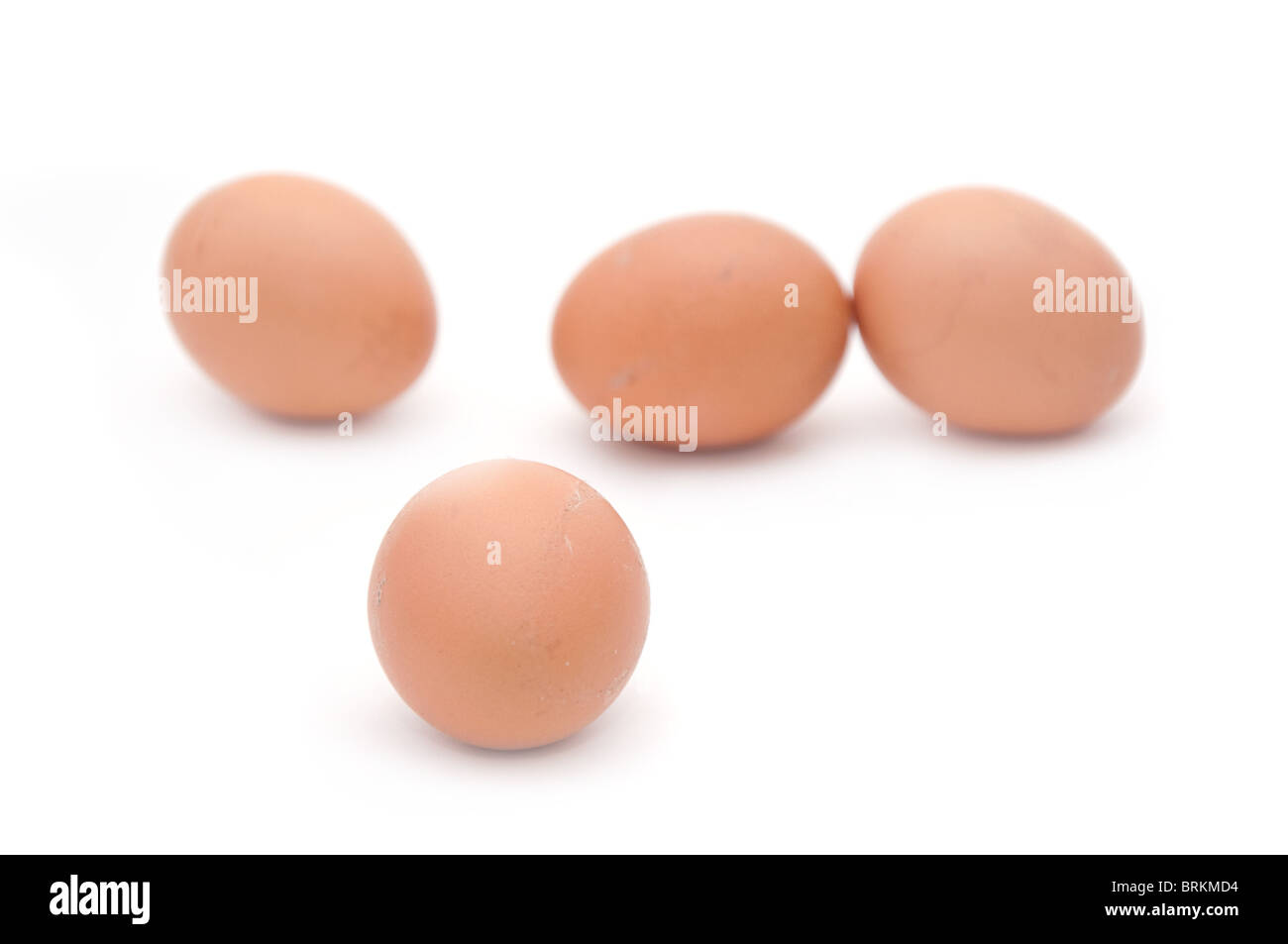 Il pollo crudo uova su uno sfondo bianco Foto Stock