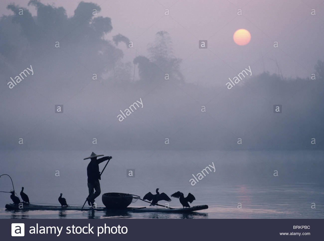 Un fisher utilizza i cormorani per catturare il pesce dal fiume Li a sunrise. Foto Stock