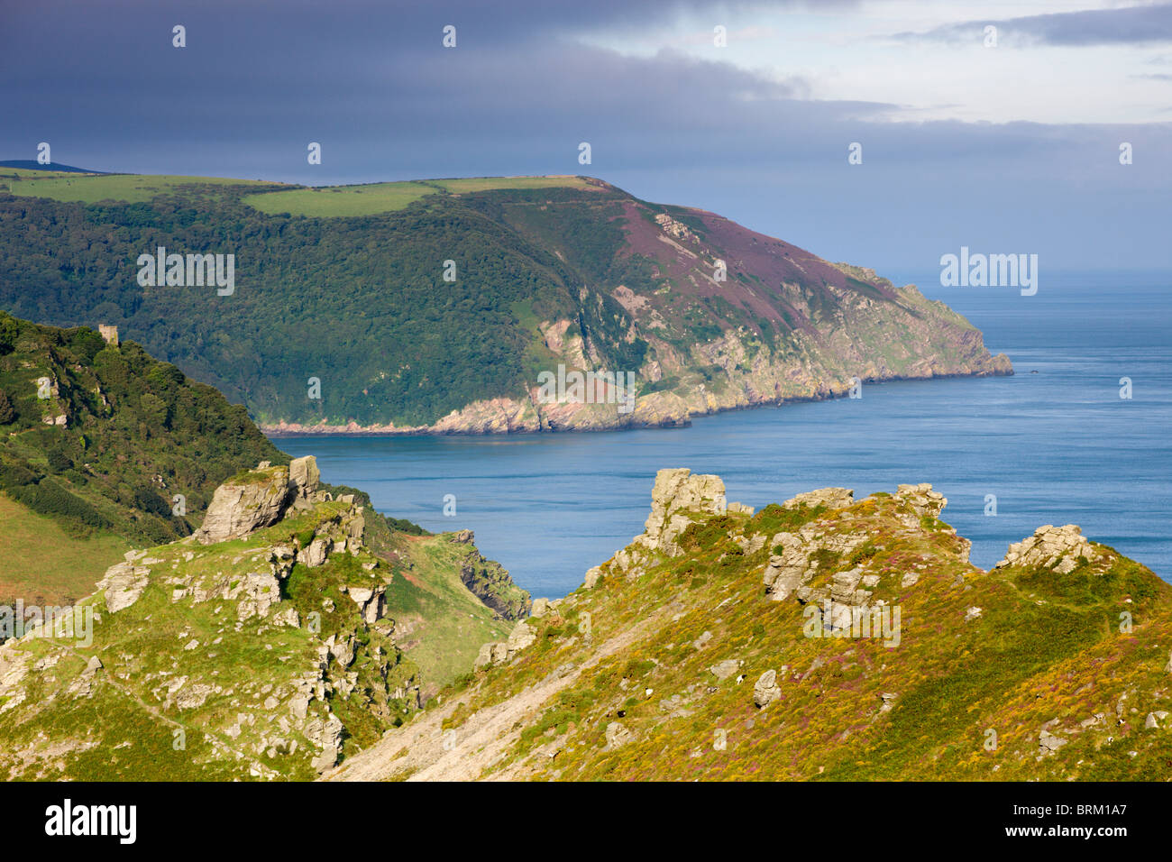 Guardando attraverso la valle di rocce e sul punto di Highveer capezzagna, Parco Nazionale di Exmoor, Devon, Inghilterra. Foto Stock