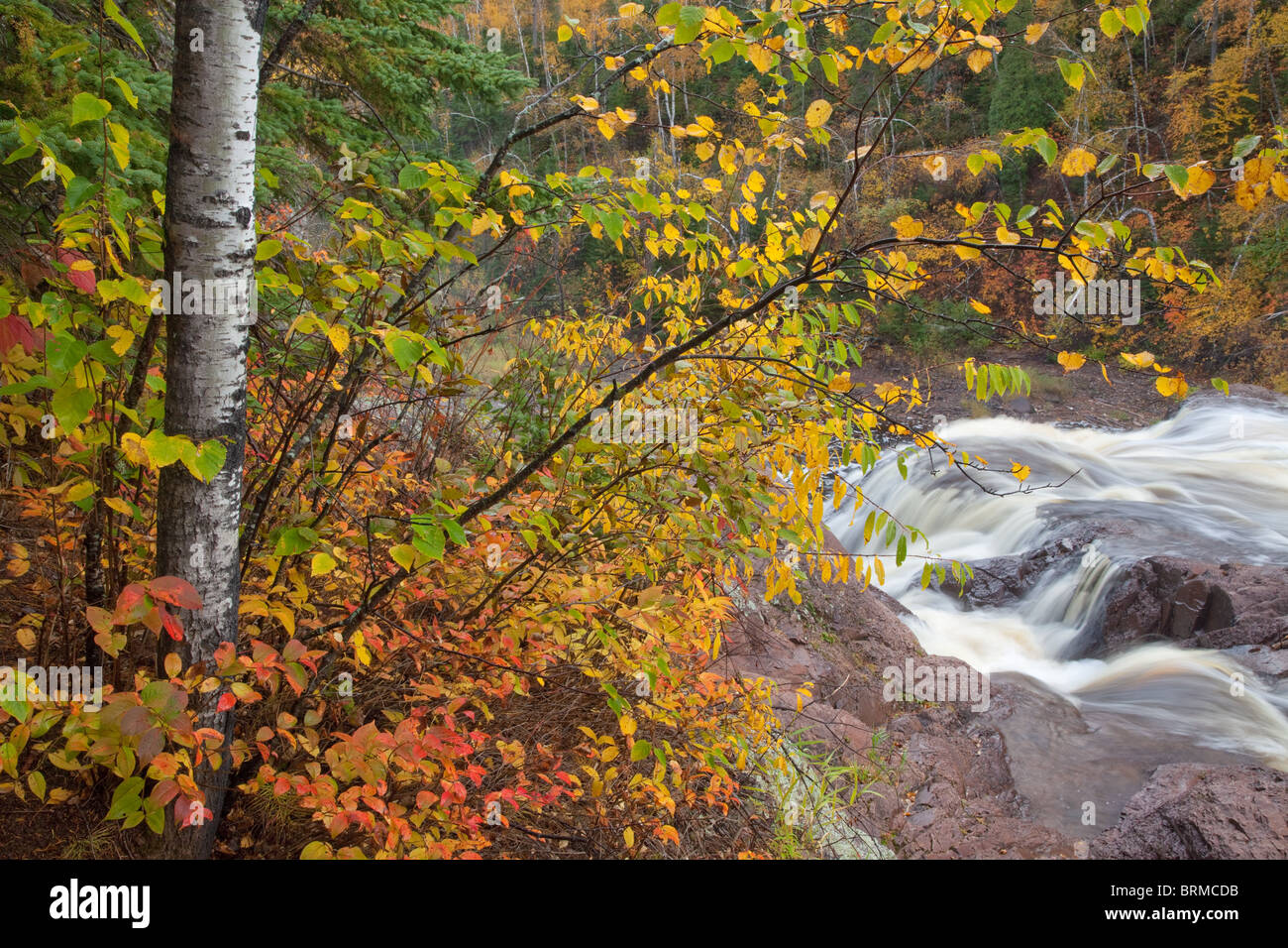 In autunno gli alberi ad alto di alte cascate del fiume il battesimo; lungo la Superior Hiking Trail, Tettegouche parco statale, Minnesota Foto Stock