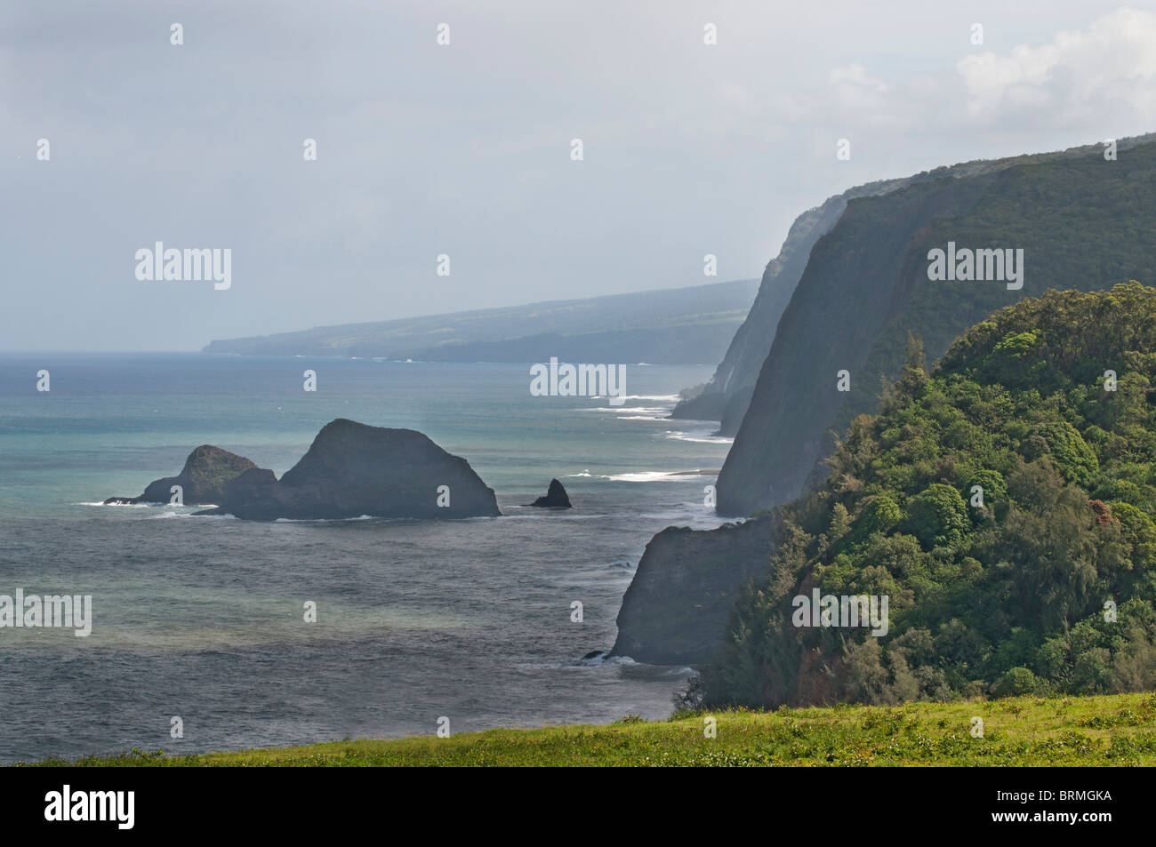 Alte e ripide scogliere lungo la drammatica Northen Kohala Coast delle Hawaii Foto Stock