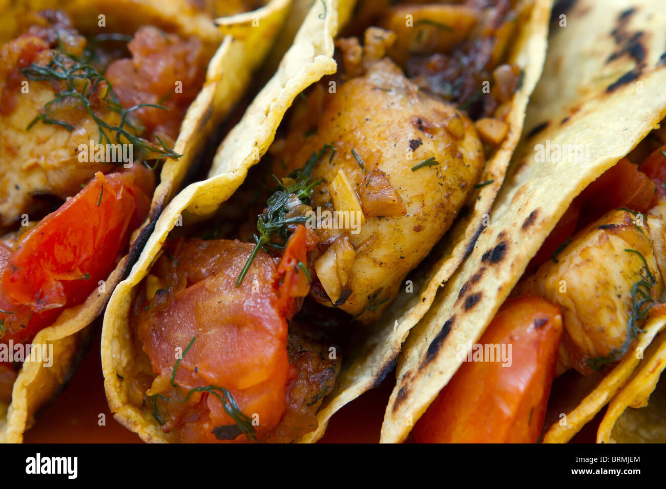 Tacos di pollo closeup con pomodoro e erbe su una piastra Foto Stock