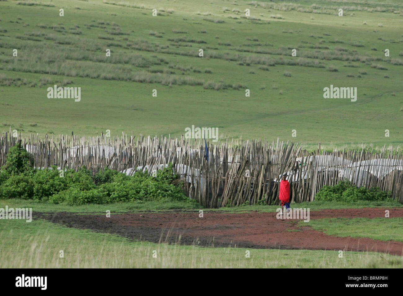 Villaggio masai con un abitante di un villaggio che indossa un rosso brillante shuka stare vicino a un palo di legno recinzione Foto Stock
