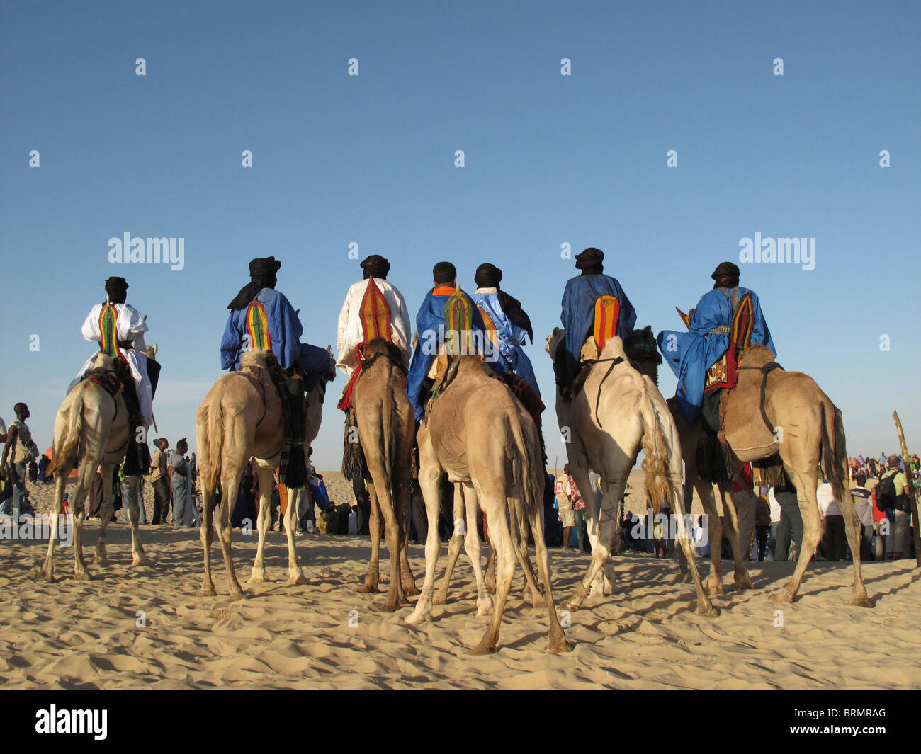 Il Tuareg uomini sui cammelli vestiti in abiti tradizionali di arrivare al Festival annuale nel deserto Foto Stock