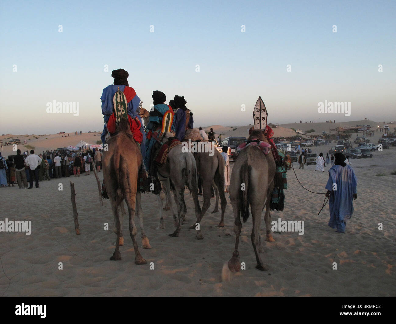 Il Tuareg uomini sui cammelli vestiti in abiti tradizionali guardando un'esibizione presso il Festival annuale nel deserto Foto Stock