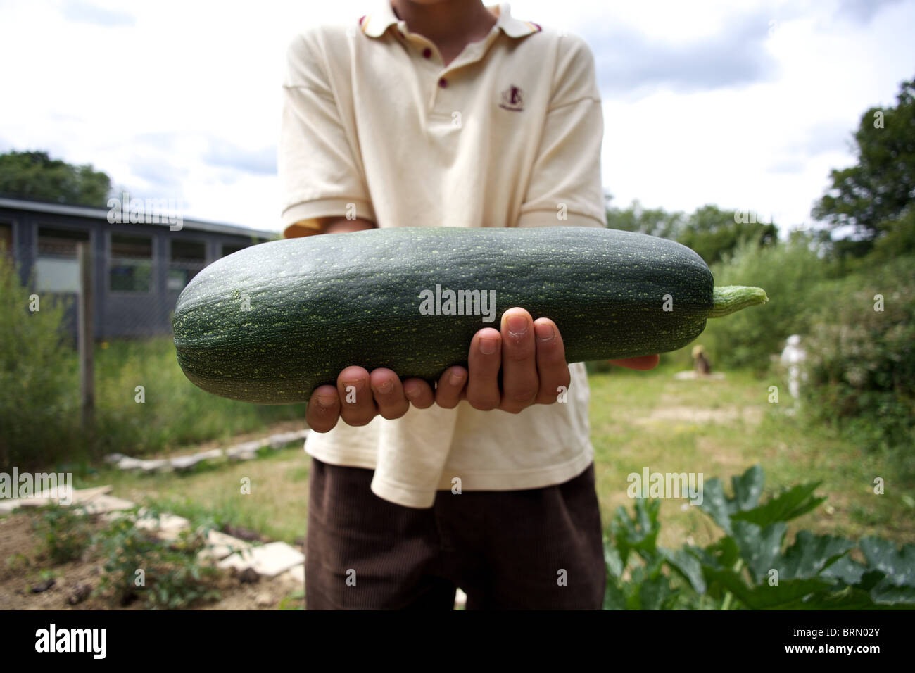 Gli allievi provenienti da un non esclusione scuola, kent .prendendo parte nel giardinaggio come una delle loro attività scolastiche. Foto Stock