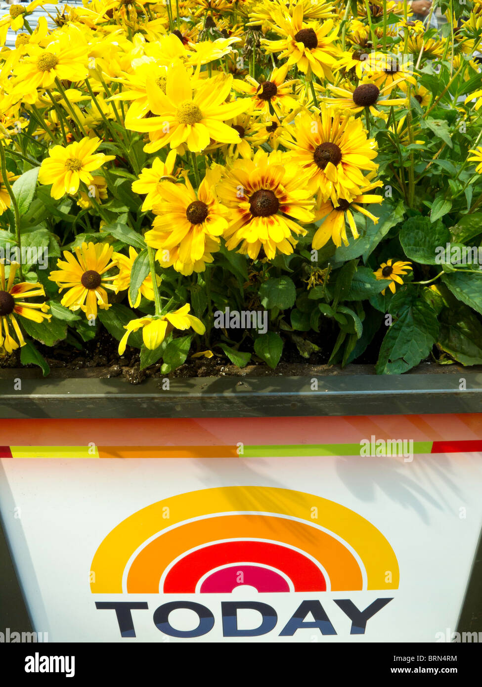 Vaso di fiori al di fuori della mostra oggi Studio, Rockefeller Center, NYC Foto Stock