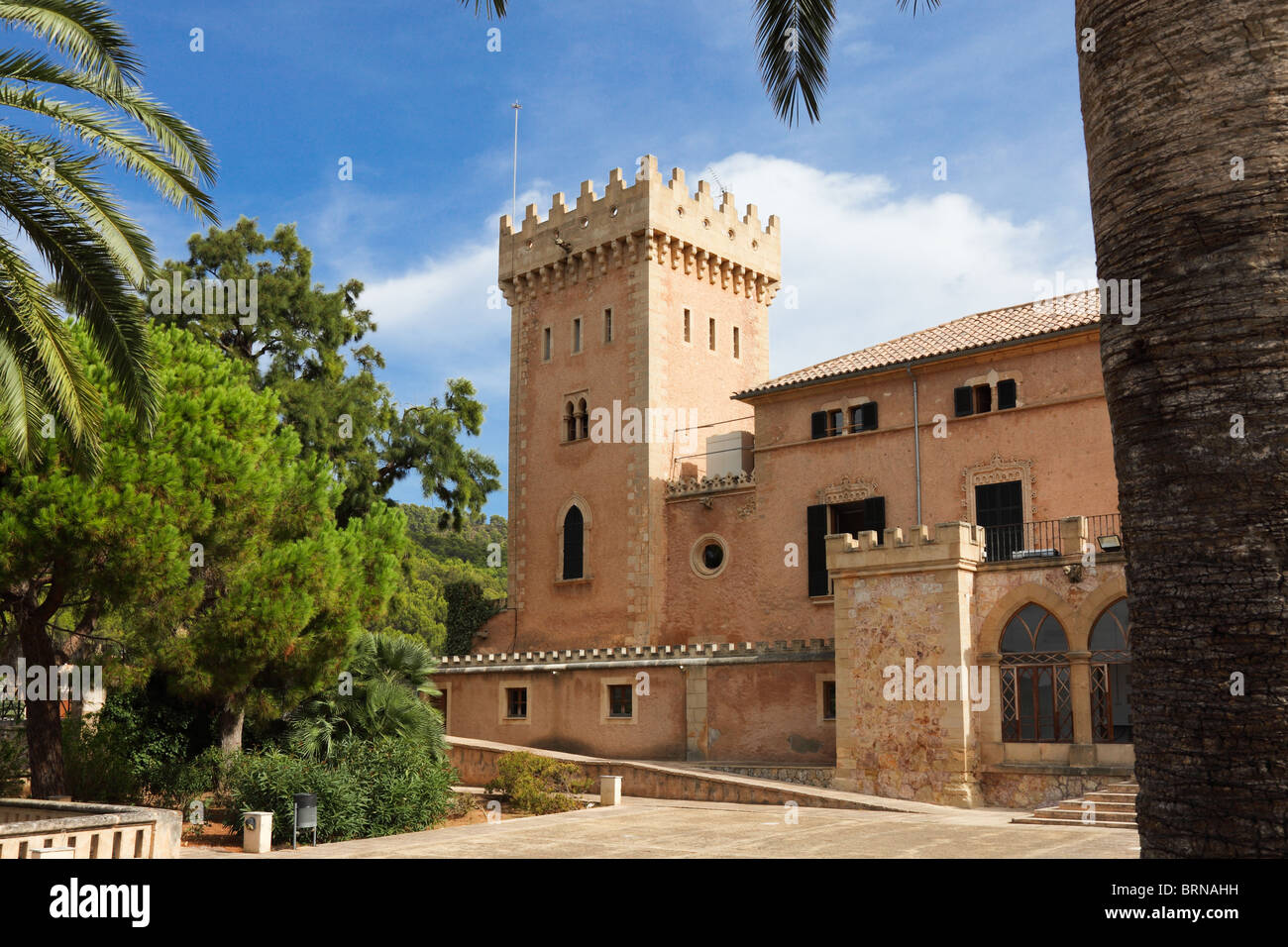 Spagna Baleari Maiorca Andratx municipio il castello di fort Palm tree Foto Stock