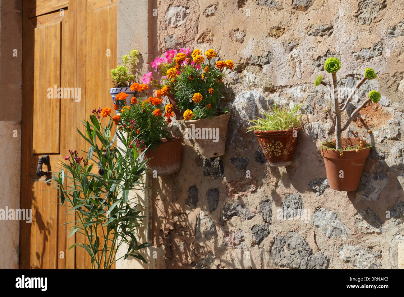 Spagna, Mallorca, Valdemossa, vicolo, fiori in vasi di fiori di sparò claies Foto Stock