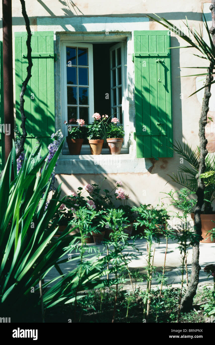 Piccolo giardino davanti casa provenzale con persiane verdi sulla finestra con gerani rosa sul davanzale Foto Stock