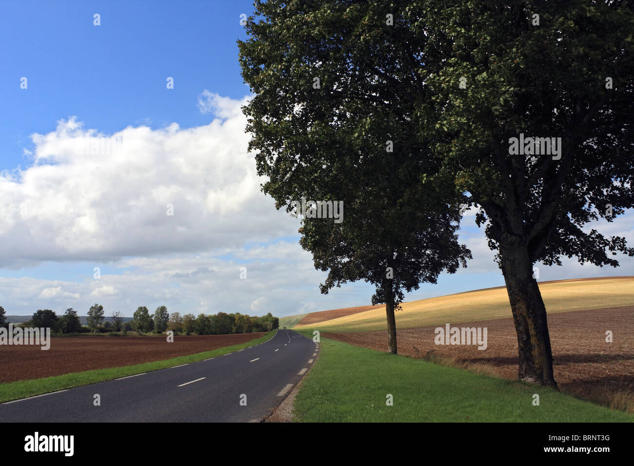 Strada che conduce nella bellissima campagna francese, vicino a Verdun, Meuse, Francia. Foto Stock