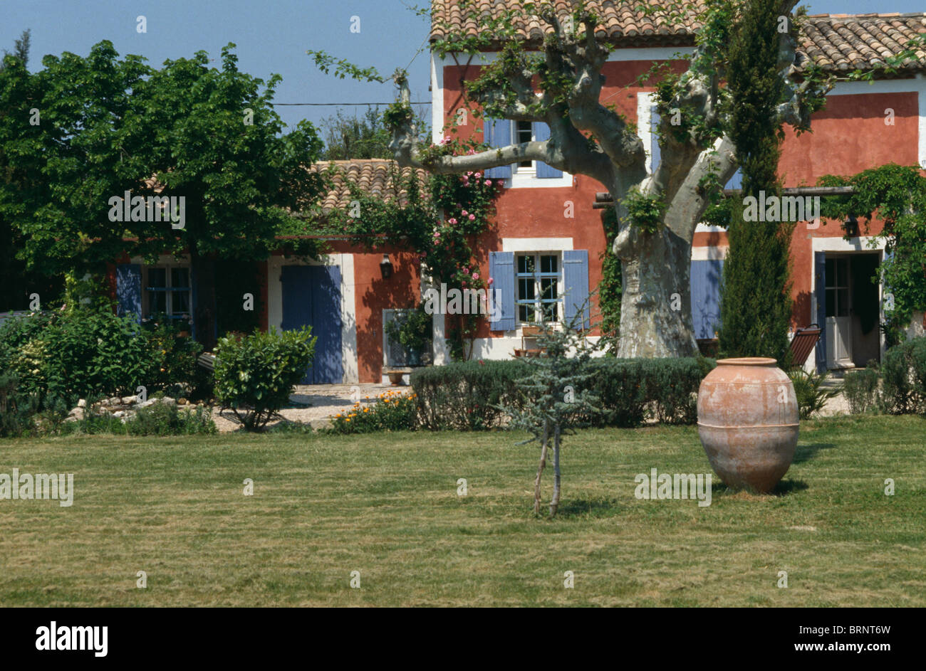 Grande vaso in terracotta sul prato di fronte in terracotta francese casa provenzale con persiane blu Foto Stock