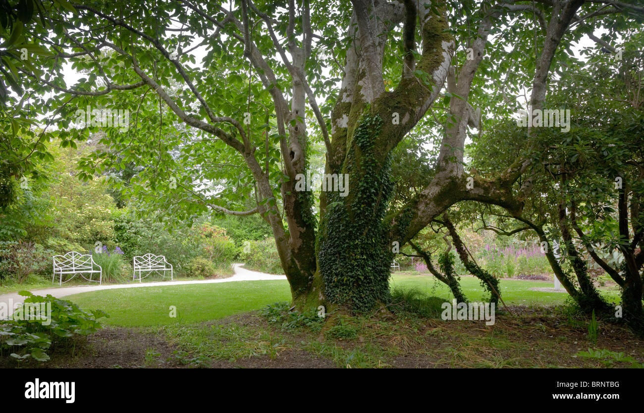 Un tranquillo giardino scena alberi maturi, giardino sedi Foto Stock