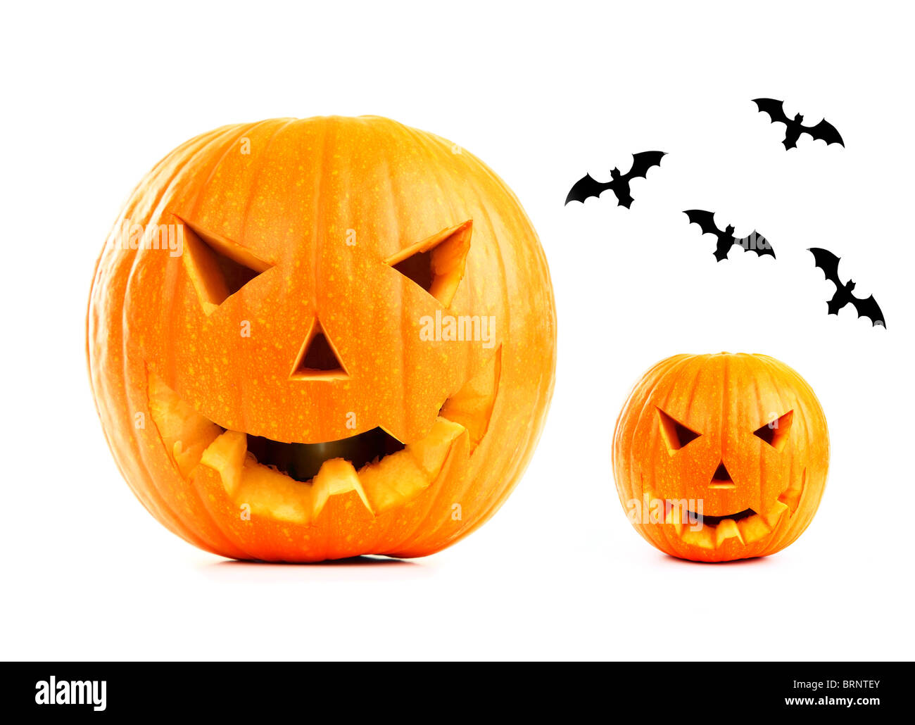 Zucca di Halloween & pipistrelli isolati su sfondo bianco Foto Stock