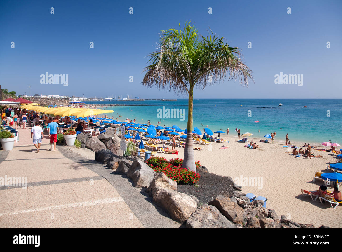 Playa Dorada Beach, Playa Blanca, Lanzarote Foto Stock